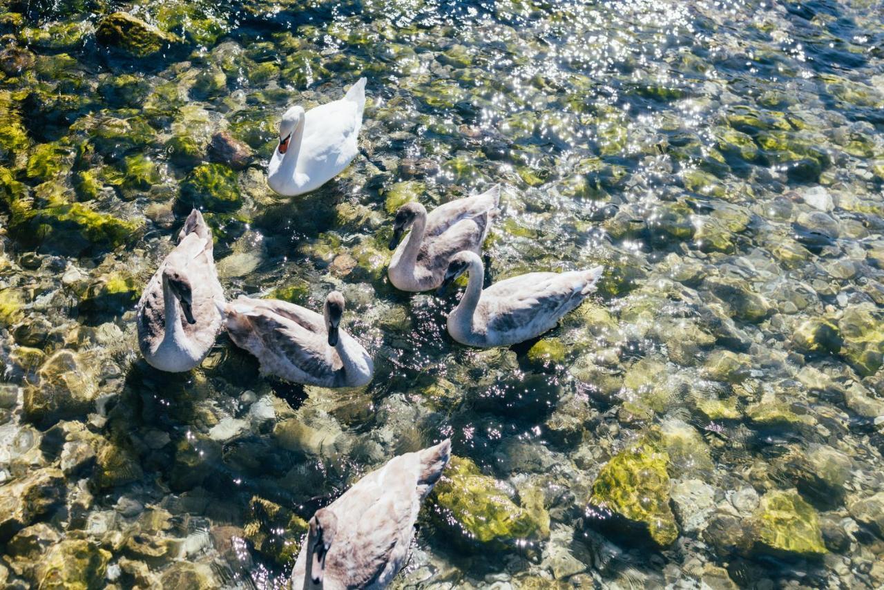 Hotel Orione - Lake Front Hotel Brenzone sul Garda Luaran gambar
